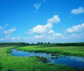 Rzeka, Łąka