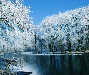 Drzewa, Zima, Rzeka