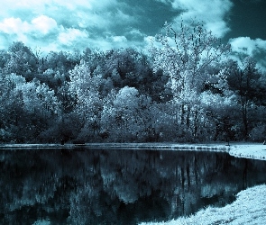 Zima, Park, Jezioro, Drzewa