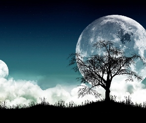 Księżyc, Apple, Noc, Logo, Drzewo