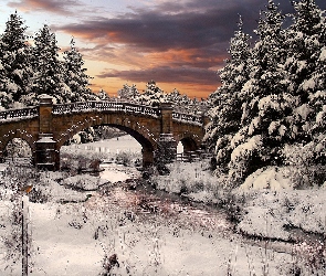 Most, Śnieg, Zima, Drzewa