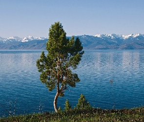 Góry, Drzewo, Jezioro