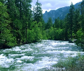 Stany Zjednoczone, Stan Kalifornia, Góry, Rzeka, Las, Park Narodowy Yosemite