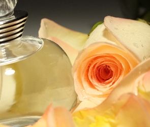 Flakon, Perfum, Róża