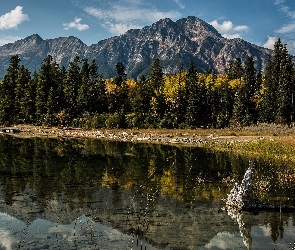 Góry, Kanada, Rzeka, Alberta, Las