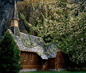 Góry, Drzewa, Kościółek