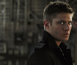 Aktor, Spojrzenie, Jensen Ackles