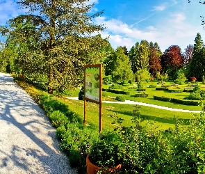 Alejka, Zieleń, Park