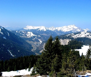 Lasy, Zima, Góry