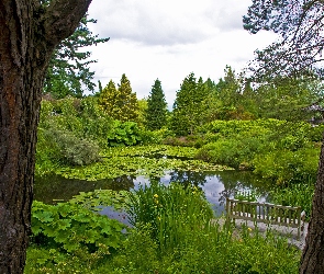 Botaniczny, Ogród