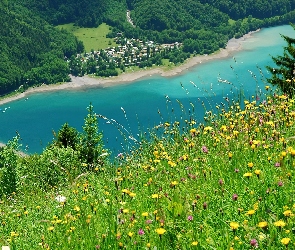 Szwajcaria, Glarus, Jezioro, Łąka, Zalesione, Góry