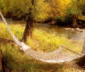 Drzewa, Hamak, Rzeka
