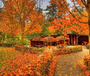 Park, Altana, Aleja, Jesienią