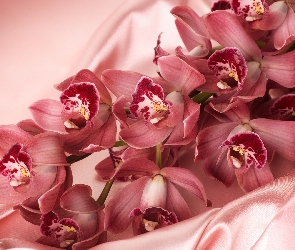Atłas, Orchidee, Różowe
