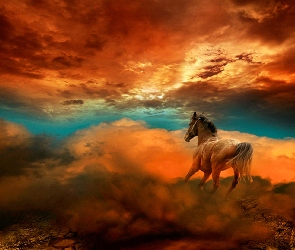 Słońca, Zachód, Koń, Chmury
