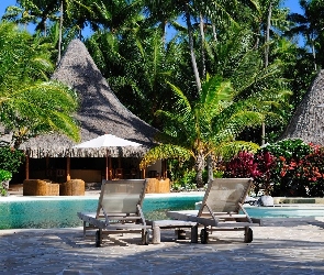 Hotel, Palmy, Bora Bora