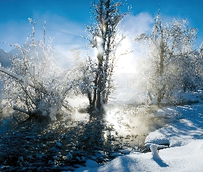 Zimowy, Śnieg, Rzeczka, Drzewa, Widok
