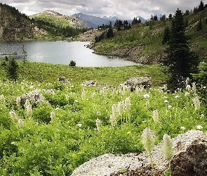 Łąka, Jezioro, Góry