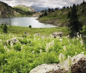 Góry, Jezioro, Łąka