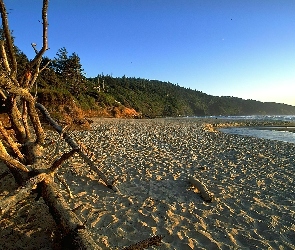 Plaża, Morze