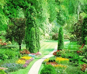 Drzewa, Krzewy, Park, Piękny, Alejka, Kwiaty
