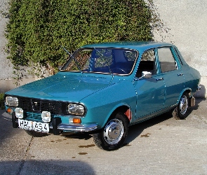 Dacia 1300, Kołpaki, Chromowane, Wycieraczki