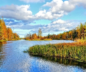 Chmury, Las, Kręta, Rzeka