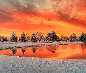 Zima, Drzewa, Niebo, Kolorowe