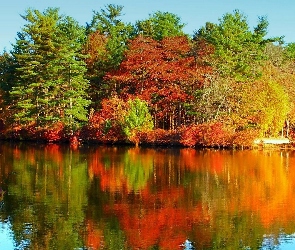 Odbicie, Rzeka, Barwy, Kolorowe, Jesieni, Drzewa