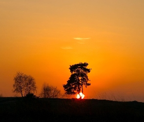 Słońca, Drzewa, Zachód