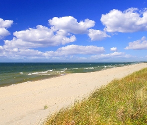 Fale, Trawa, Piasek, Plaża, Morze