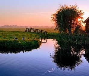 Domek, Jezioro, Słońca, Gęsi, Zachód, Łąka