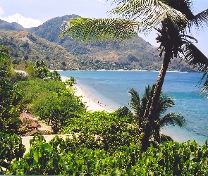 Plaża, Filipiny, Morze, Góry, Palmy