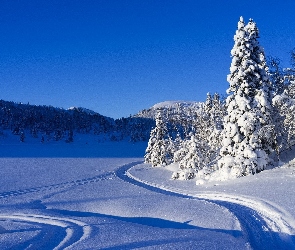 Niebo, Góry, Choinki, Śnieg