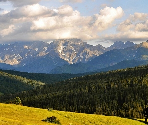 Tatrzańska, Góry, Bukowina