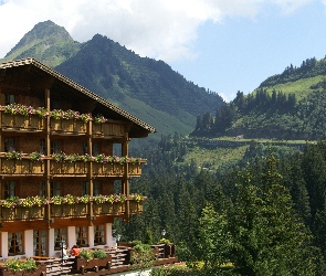 Drzewa, Góry, Damuls, Hotel, Madlener, Austria