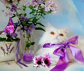 Obraz, Kwiaty, Kot, Biały, Fioletowa, Kokarda