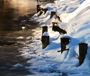 Brzeg, Kołki, Drewniane, Jezioro, Śnieg