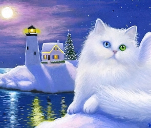 Oczy, Kot, Biały, Morska, Narodzenie, Boże, Latarnia, Kolorowe