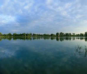 Rośliny, Drzewa, Jezioro, Las