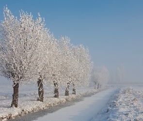 Zamarznięta, Pole, Oszronione, Drzewa, Rzeka