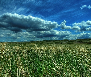 Chmury, Niebo, Łąka