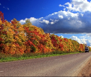 Droga, Jesień, Chmury, Drzewa