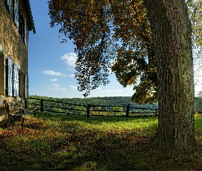 Ogrodzenie, Ławeczka, Dom, Drzewo