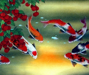Koi, Rośliny, Ryby
