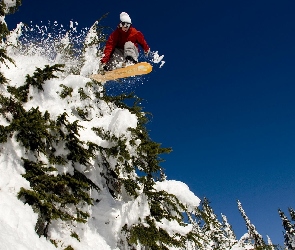 Śnieg, Choinki, Snowboardzista