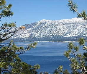 Jezioro, Kalifornia, Góry, Tahoe, Drzewo