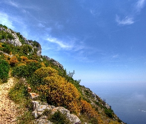 Ścieżka, Morze, Stok