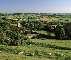 Wieś, Farmy i pola, Anglia, Hrabstwo Somerset