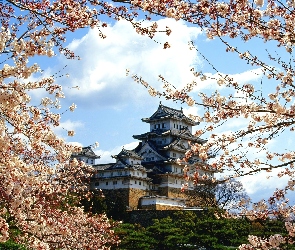 Japoński, Himeji Jo, Zamek